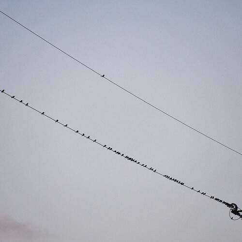 Photo #13091591