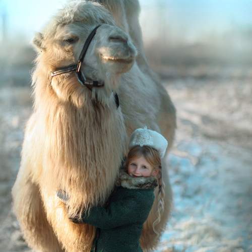 Фотография #13091637