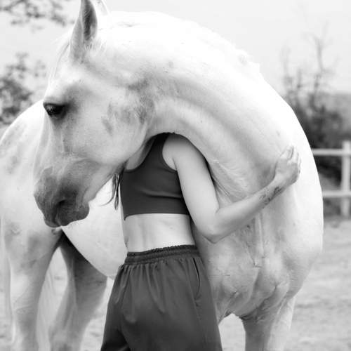 Фотография #13091670