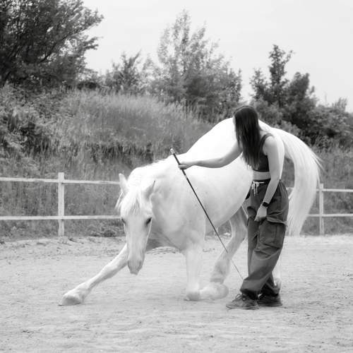 Фотография #13091697