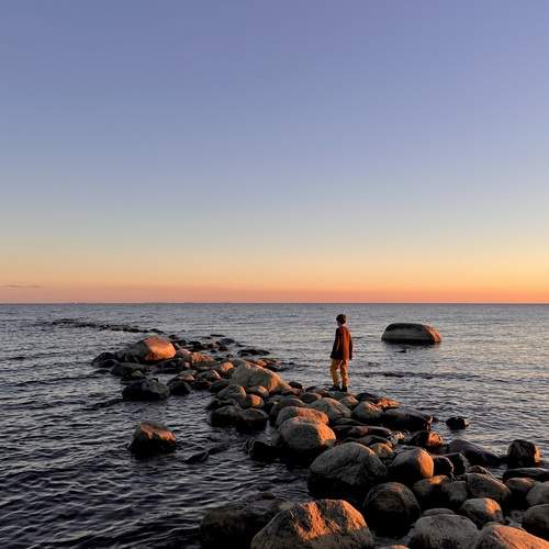 Photo #13091738