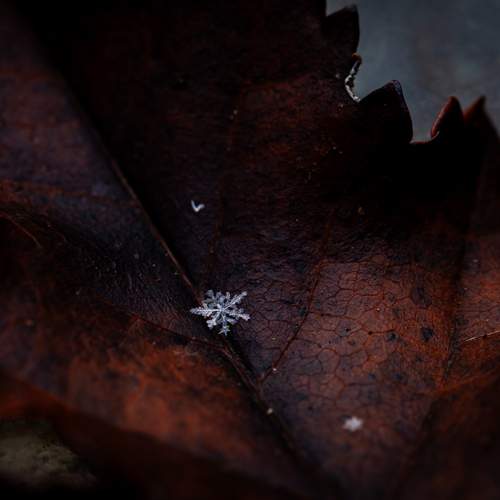 Impermanence