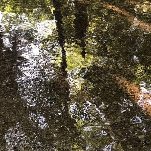 Photo #13092242