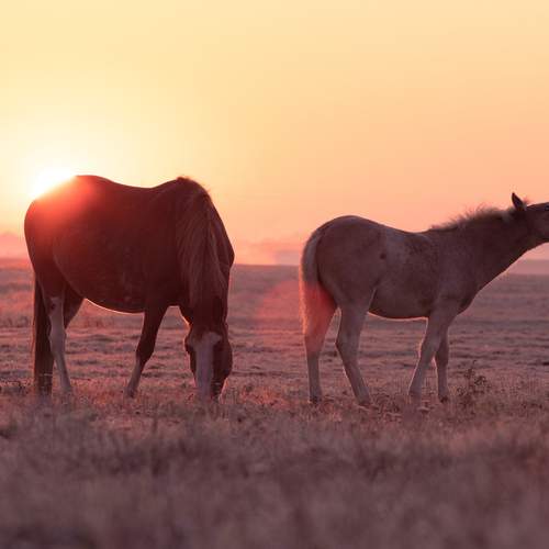 Фотография #13092340