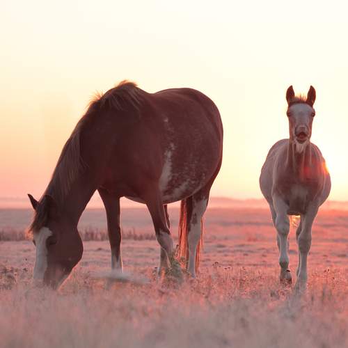 Фотография #13092369