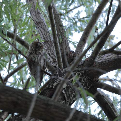 Фотография #13092384