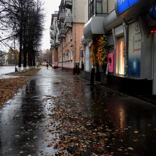 Photo #13092550