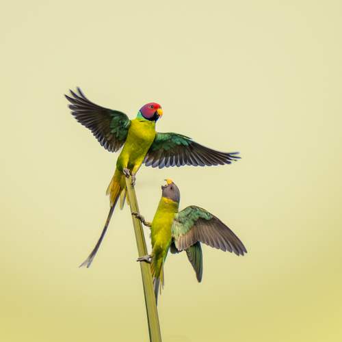 Photo #13092569