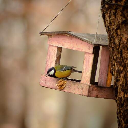 Photo #13092597