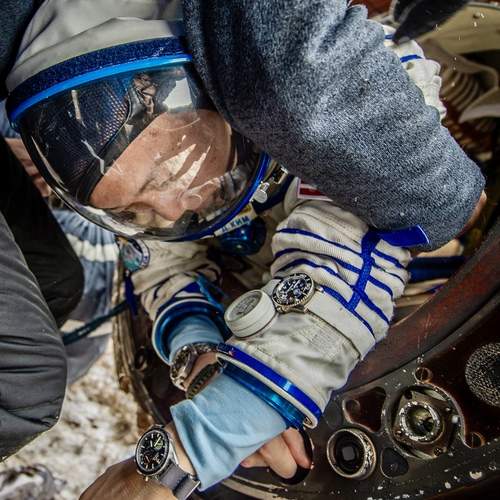 Добро пожаловать домой