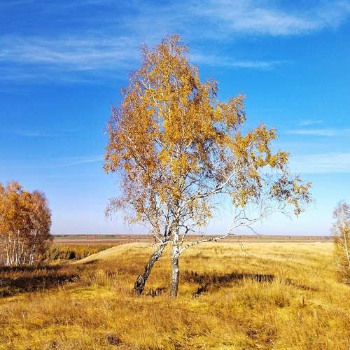 Осень.