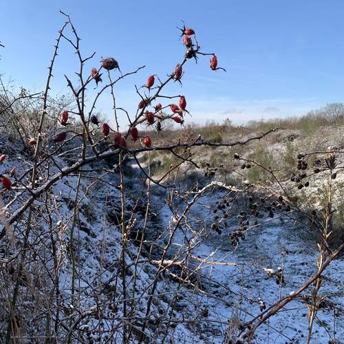 Photo #13092803