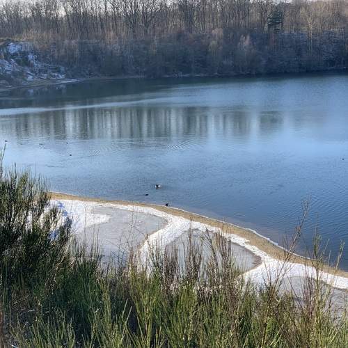 Photo #13092804