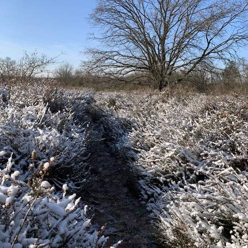 Photo #13092806