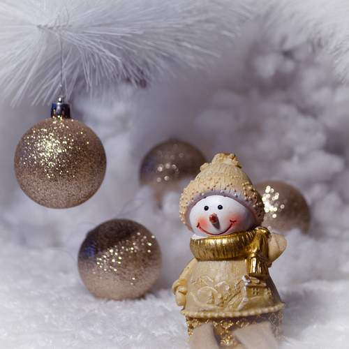 Photo #13092846