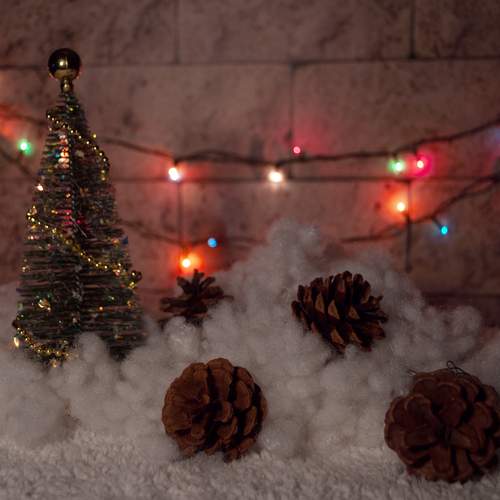 Photo #13092853