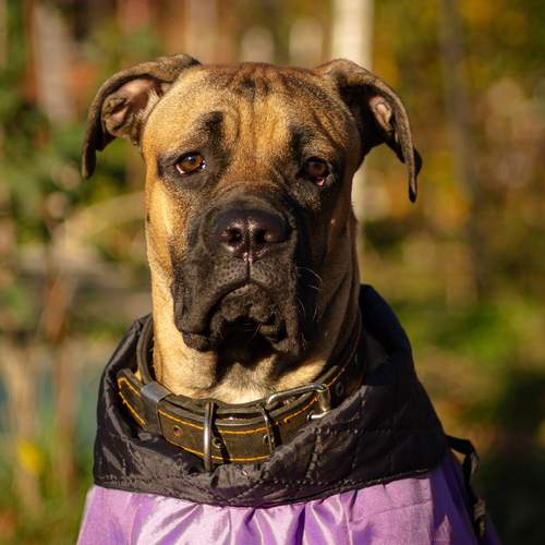 Photo #13092871