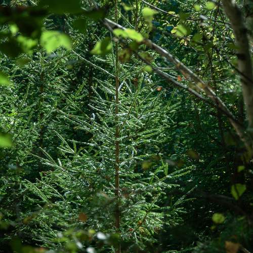 Photo #13092883