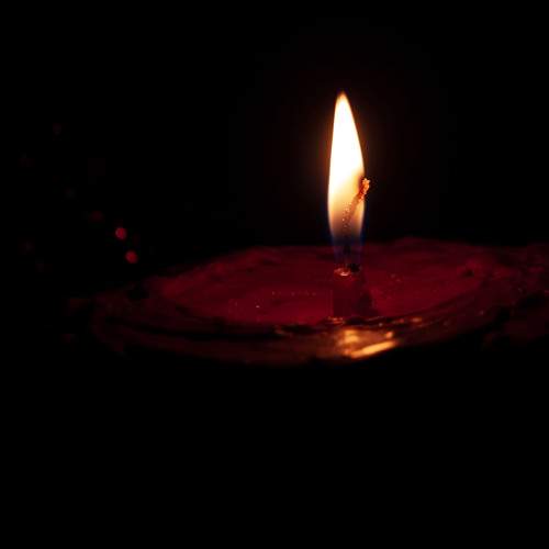 Photo #13092916