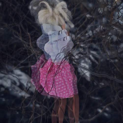 Photo #13092923