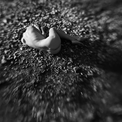 Photo #13093005
