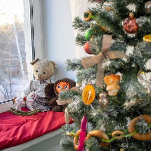 Photo #13093062