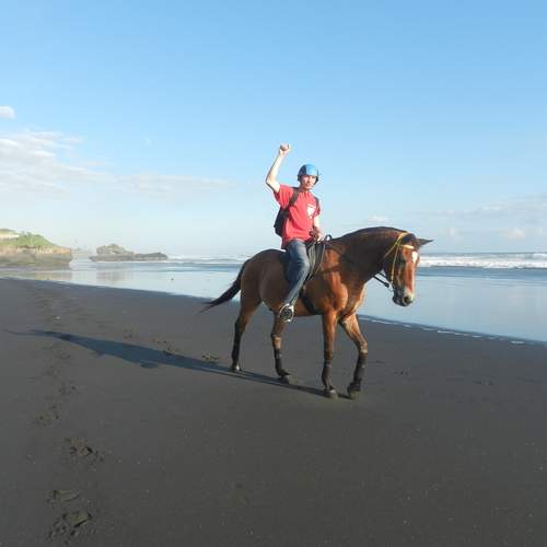 Photo #13093112