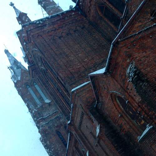 Photo #13093255