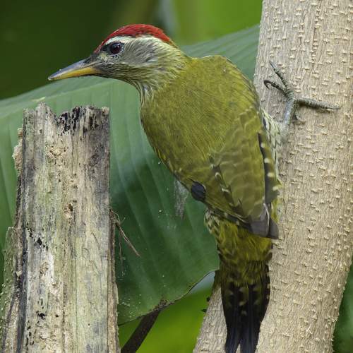 Photo #13093275