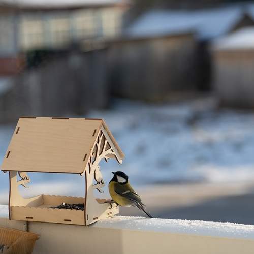 Photo #13093423
