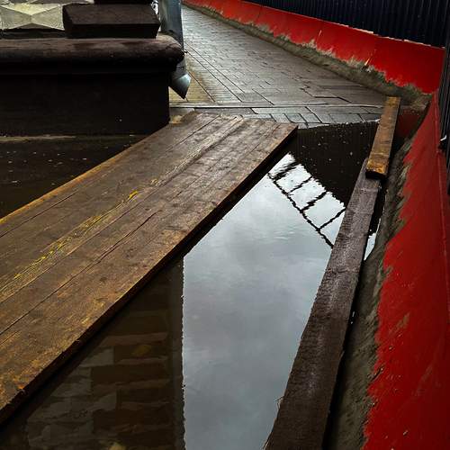 Photo #13093456