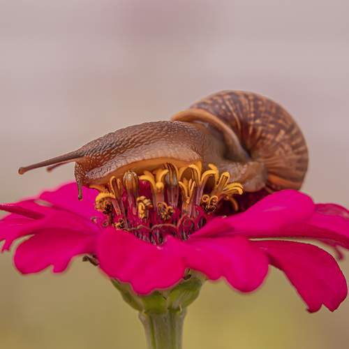 Photo #13093531
