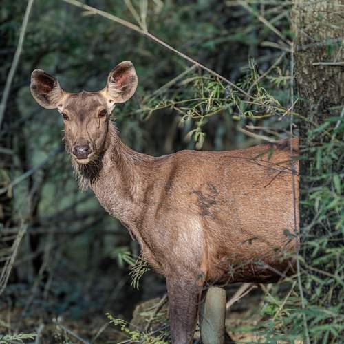 Photo #13093536