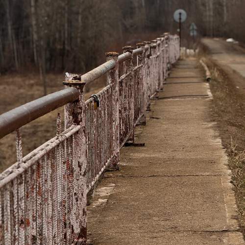 Photo #13093587
