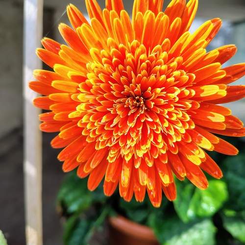 Photo #13093640