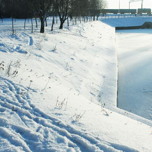 Photo #13093649