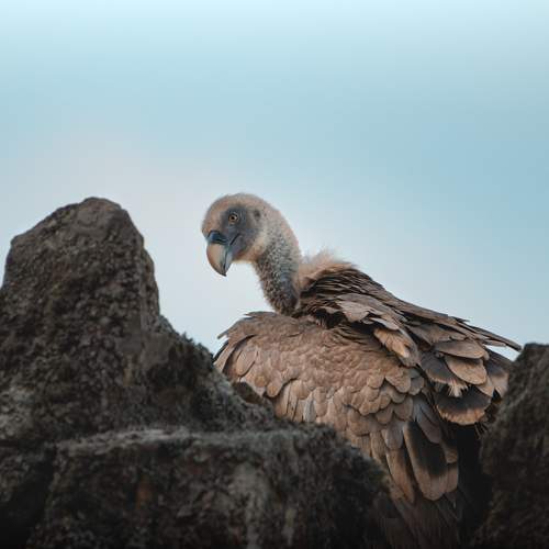 Photo #13093847