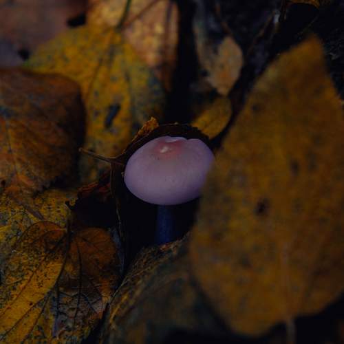 Photo #13093956
