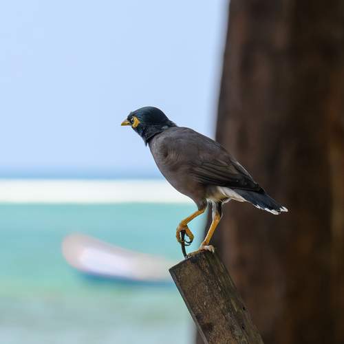 Photo #13094168