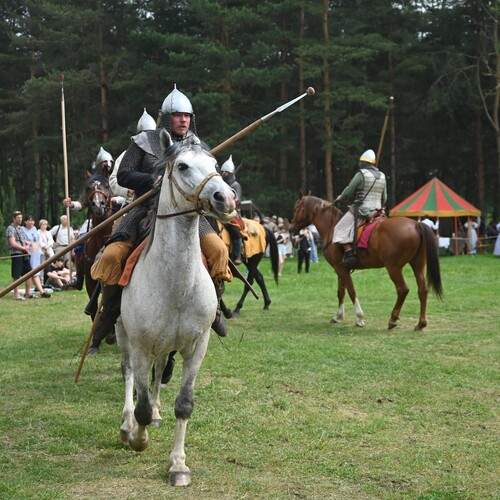 Photo #13094208