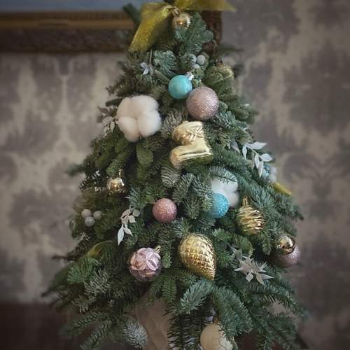 Photo #13094364