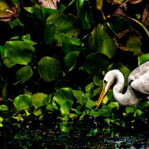 Photo #13094376