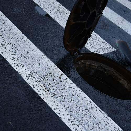 Photo #13094400