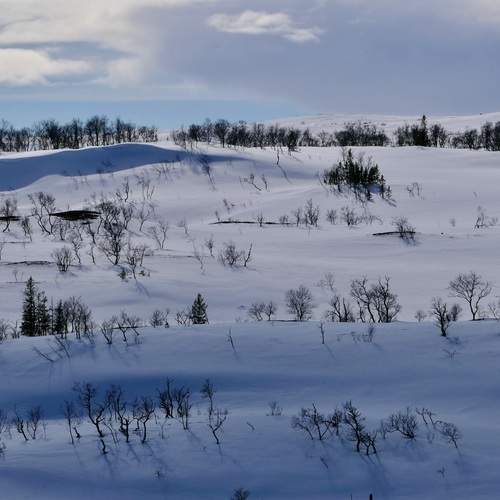 Зима в горах