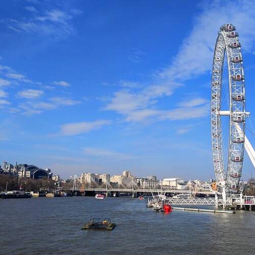 Photo #13094465