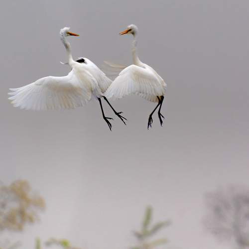 Photo #13094574