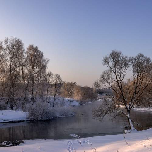 Photo #13094847