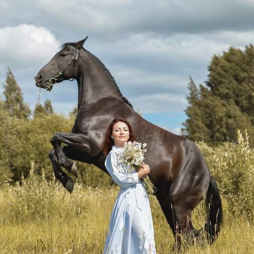 Photo #13094855
