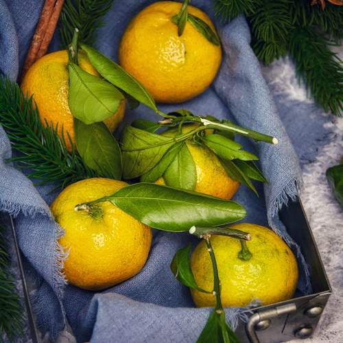 Photo #13094906