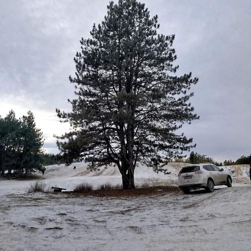 Photo #13095050